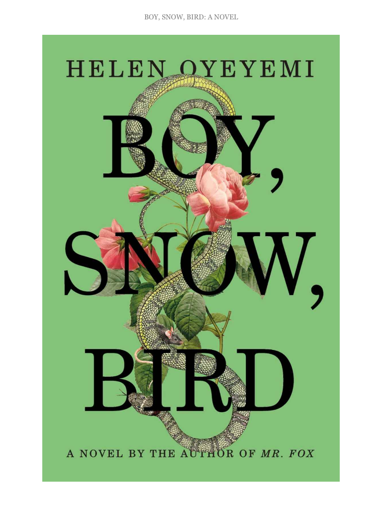 boy, snow, bird by helen oyeyemi