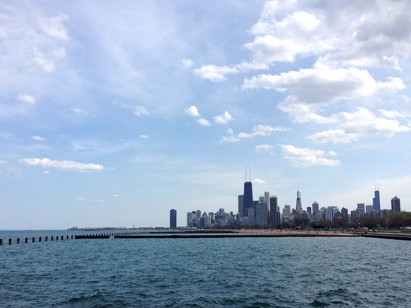 the chicago skyline